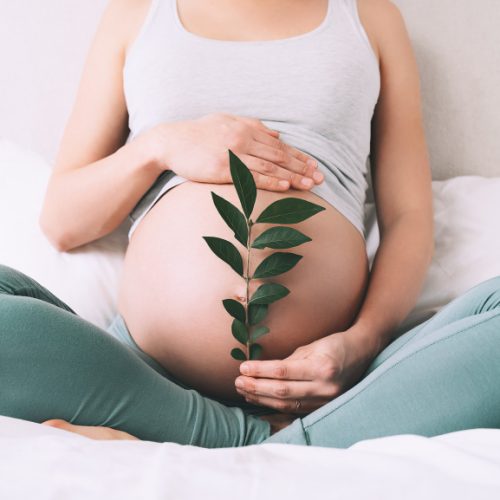 pregnant-woman-holds-green-sprout-plant-near-her-belly-as-symbol-new-life-wellbeing-fertility-unborn-baby-health-concept-pregnancy-maternity-eco-sustainable-lifestyle-gynecology